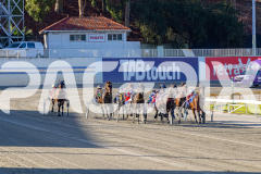 2026_PACEPIX_GP31032026_RACE1_GetYaBetsOn_WIN_WEB-1