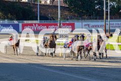 2026_PACEPIX_GP31032026_RACE1_GetYaBetsOn_WIN_WEB-2