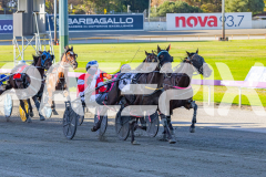 2026_PACEPIX_GP31032026_RACE1_GetYaBetsOn_WIN_WEB-3