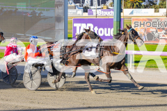 2026_PACEPIX_GP31032026_RACE1_GetYaBetsOn_WIN_WEB-5
