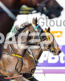 2026_PACEPIX_GP31032026_RACE1_GetYaBetsOn_WIN_WEB-8
