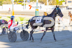 2026_PACEPIX_GP31032026_RACE1_GetYaBetsOn_WIN_WEB-9