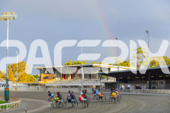 2026_PACEPIX_GP18042026_RACE1_GetnWiggyWithit_WIN_WEB-11