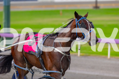 2026_PACEPIX_GP18042026_RACE1_GetnWiggyWithit_WIN_WEB-20