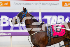 2026_PACEPIX_GP18042026_RACE1_GetnWiggyWithit_WIN_WEB-23