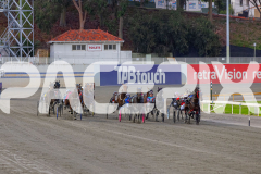2026_PACEPIX_GP18042026_RACE1_GetnWiggyWithit_WIN_WEB-3