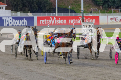 2026_PACEPIX_GP18042026_RACE1_GetnWiggyWithit_WIN_WEB-4