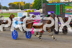 2026_PACEPIX_GP18042026_RACE1_GetnWiggyWithit_WIN_WEB-8