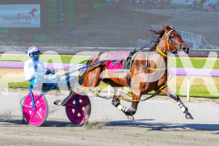 RACE 1 - Graceful Shark