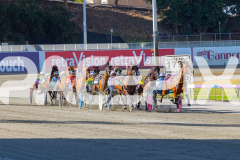 2026_PACEPIX_GP03032026_RACE1_GracefulShark_WIN_WEB-1