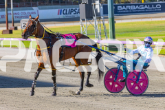 2026_PACEPIX_GP03032026_RACE1_GracefulShark_WIN_WEB-10