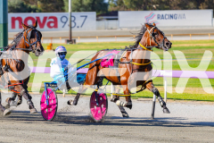 2026_PACEPIX_GP03032026_RACE1_GracefulShark_WIN_WEB-2