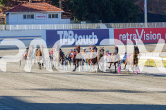 2026_PACEPIX_GP03032026_RACE1_GracefulShark_WIN_WEB-3