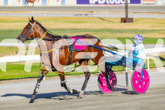 2026_PACEPIX_GP03032026_RACE1_GracefulShark_WIN_WEB-8