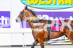 2026_PACEPIX_GP03032026_RACE1_GracefulShark_WIN_WEB-9