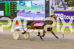2026_PACEPIX_GP26052026_RACE1_Halfmoonbay_WIN_WEB-5