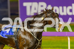 2025_PACEPIX_GP30052025_RACE1_Heartofahlia_WIN_WEB-15