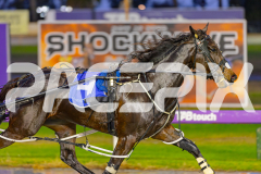 2025_PACEPIX_GP30052025_RACE1_Heartofahlia_WIN_WEB-4