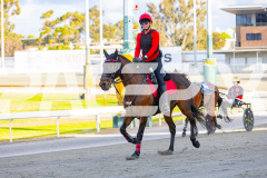 2025_PACEPIX_GP24102025_Race1_HeavenlyGipsy_WIN_WEB-12