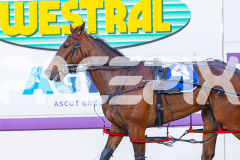 2025_PACEPIX_GP24102025_Race1_HeavenlyGipsy_WIN_WEB-14