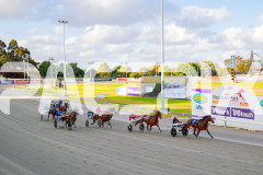 2025_PACEPIX_GP24102025_Race1_HeavenlyGipsy_WIN_WEB-19