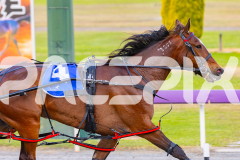 2025_PACEPIX_GP24102025_Race1_HeavenlyGipsy_WIN_WEB-2