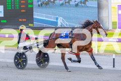 2025_PACEPIX_GP24102025_Race1_HeavenlyGipsy_WIN_WEB-9