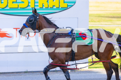 2025_PACEPIX_GP19122025_RACE1_HeavenlyWage_WIN_WEB-10