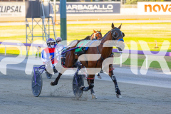 2025_PACEPIX_GP19122025_RACE1_HeavenlyWage_WIN_WEB-7