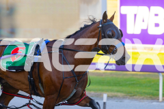 2025_PACEPIX_GP19122025_RACE1_HeavenlyWage_WIN_WEB-8