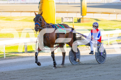 2025_PACEPIX_GP19122025_RACE1_HeavenlyWage_WIN_WEB-9