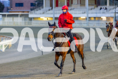 2026_PACEPIX_GP30062026_Race1_HeavyMetalHammer_WIN_WEB-10