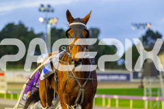 2026_PACEPIX_GP30062026_Race1_HeavyMetalHammer_WIN_WEB-15
