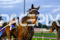 2026_PACEPIX_GP30062026_Race1_HeavyMetalHammer_WIN_WEB-16