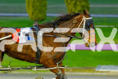 2026_PACEPIX_GP30062026_Race1_HeavyMetalHammer_WIN_WEB-9