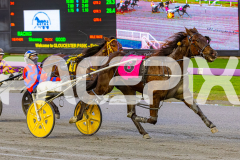 2026_PACEPIX_GP17072026_RACE1_HezTheBoss_WIN_WEB-12
