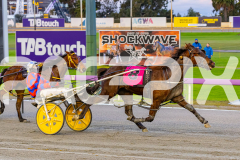 2026_PACEPIX_GP17072026_RACE1_HezTheBoss_WIN_WEB-13