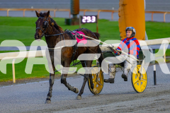 2026_PACEPIX_GP17072026_RACE1_HezTheBoss_WIN_WEB-18