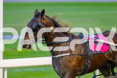 2026_PACEPIX_GP17072026_RACE1_HezTheBoss_WIN_WEB-19
