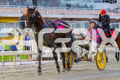 2026_PACEPIX_GP17072026_RACE1_HezTheBoss_WIN_WEB-22