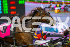 2026_PACEPIX_GP17072026_RACE1_HezTheBoss_WIN_WEB-6