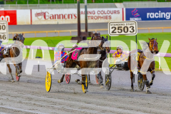 2026_PACEPIX_GP17072026_RACE1_HezTheBoss_WIN_WEB-8