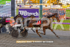2026_Pacepix_GP21082026_Race1_HoldTheAmmo_WIN_WEB-6