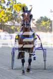 2025_PACEPIX_GP16012026_Race1_HungerStrike_WIN_WEB-21