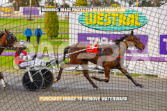 2026_PACEPIX_GP25082026_RACE1_ImCatestrophic_WIN_WEB-13