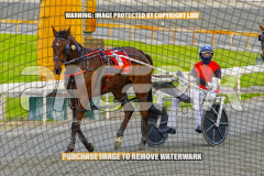 2026_PACEPIX_GP25082026_RACE1_ImCatestrophic_WIN_WEB-15