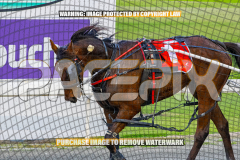 2026_PACEPIX_GP25082026_RACE1_ImCatestrophic_WIN_WEB-16