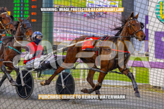 2026_PACEPIX_GP25082026_RACE1_ImCatestrophic_WIN_WEB-2