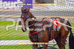 2026_PACEPIX_GP25082026_RACE1_ImCatestrophic_WIN_WEB-20