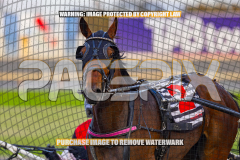 2026_PACEPIX_GP25082026_RACE1_ImCatestrophic_WIN_WEB-21
